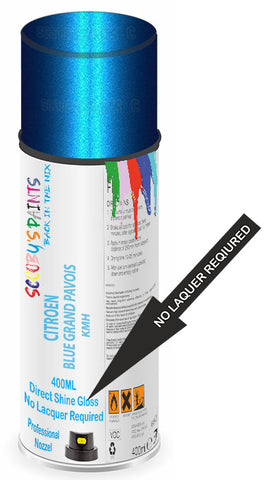 paint for Citroen C2
