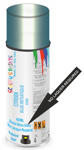 paint for Citroen Evasion