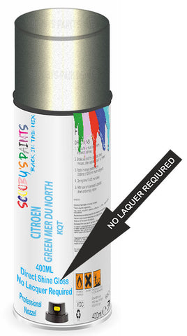 paint for Citroen C5