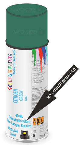 paint for Citroen Cx