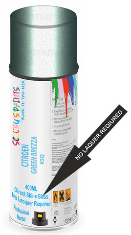 paint for Citroen C8