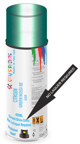 paint for Citroen Berlingo