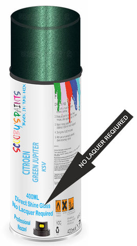 paint for Citroen C8