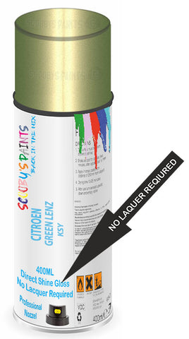 paint for Citroen C3