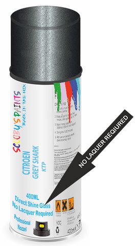 paint for Citroen Ds4