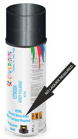 paint for Citroen C5