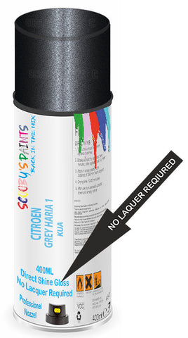 paint for Citroen C5