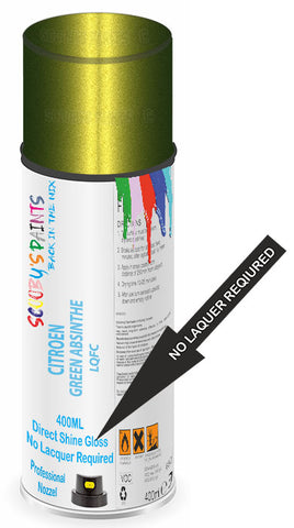 paint for Citroen C2