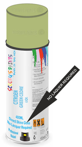 paint for Citroen Jumper