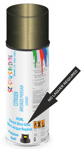 paint for Citroen Berlingo