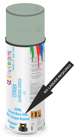 paint for Citroen C3