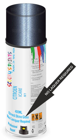 paint for Citroen C8