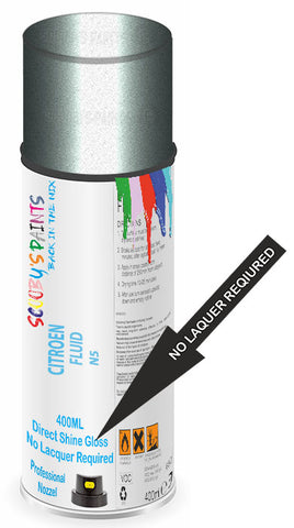 paint for Citroen Ds4