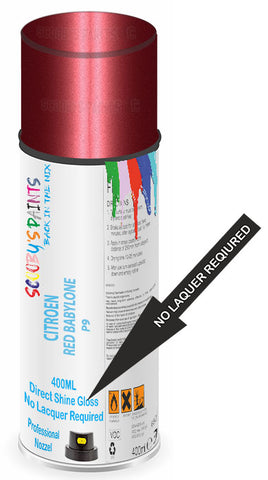 paint for Citroen Ds4