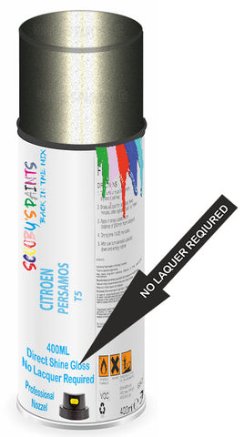 paint for Citroen Berlingo