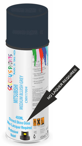 paint for MITSUBISHI COLT PLUS