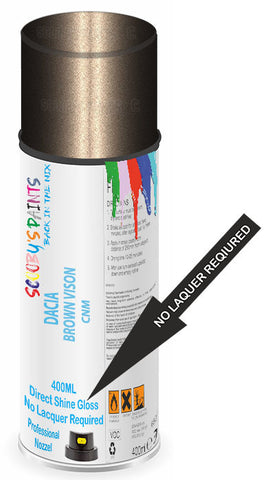 paint for Dacia Sandero Stepway