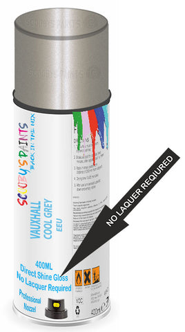 paint for Vauxhall Vivaro