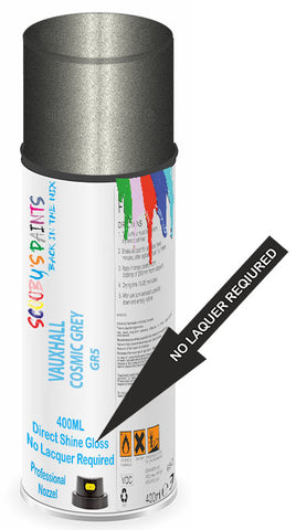 paint for Vauxhall Zafira