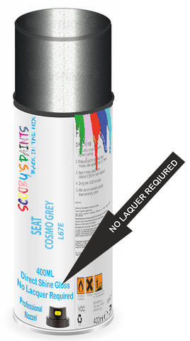 paint for Seat Leon