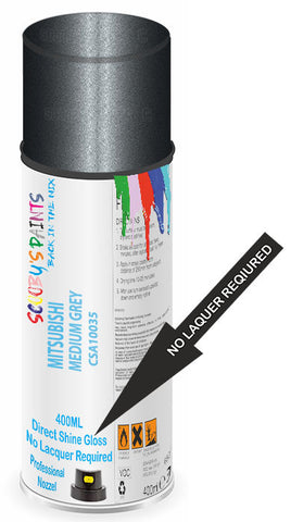 paint for Mitsubishi Delica D5