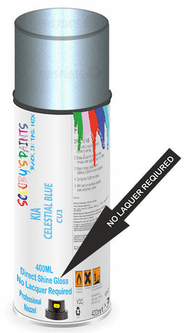 paint for Kia Ray