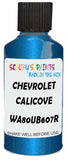 Detail brush applying Blue Metallic to a small door scratch on an Chevrolet Corvette, clean OEM finish