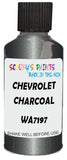 Detail brush applying Black Metallic to a small door scratch on an Chevrolet Trucks, clean OEM finish