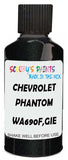 Detail brush applying Black Metallic to a small door scratch on an Chevrolet Caprice, clean OEM finish