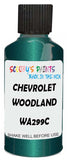 Detail brush applying Green Metallic to a small door scratch on an Chevrolet Tracker, clean OEM finish