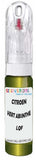 10ml–30ml touch-up kit for Citroen C2 chips and scratches, precise colour match to Vert Absinthe Nacre Metallic Lqf