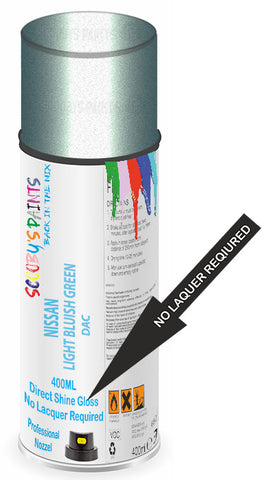 paint for Nissan Liberty