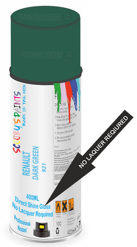 paint for Renault R5