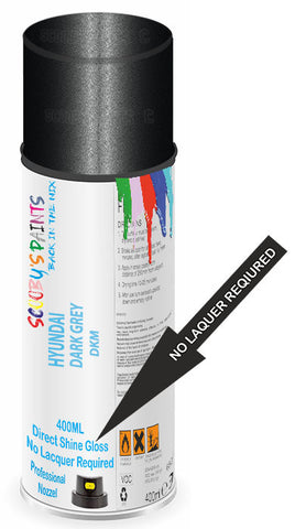 paint for Hyundai Santro