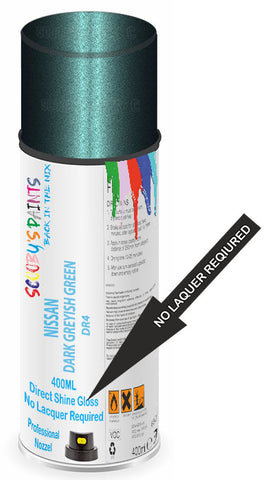 paint for NISSAN SUNNY