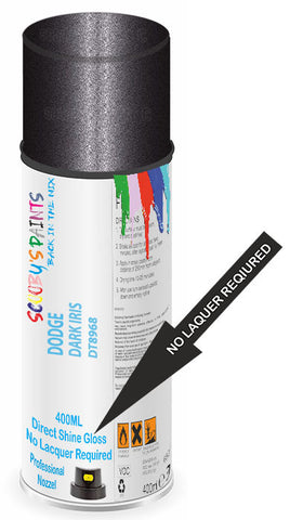 paint for Dodge Caravan