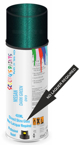 paint for Nissan Avenir