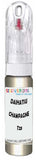 10ml–30ml touch-up kit for Daihatsu Boon chips and scratches, precise colour match to Champagne Metallic T23