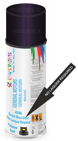 paint for General Motors Corp General Motors All