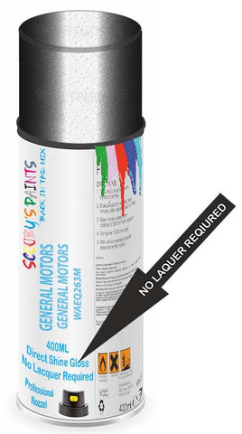 paint for General Motors Corp General Motors All