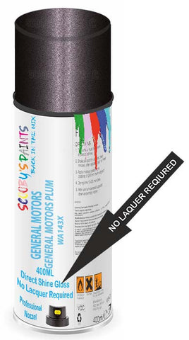 paint for General Motors Corp General Motors All