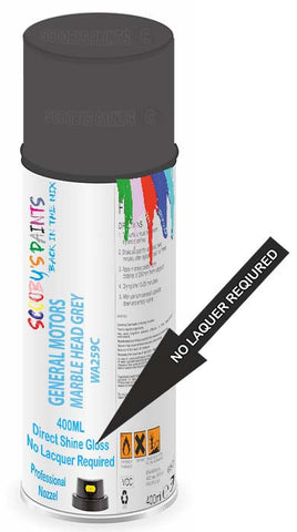 paint for General Motors Corp General Motors Passenger Car