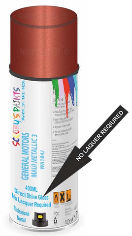 paint for General Motors Corp General Motors Passenger Car