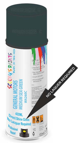 paint for General Motors Corp General Motors Passenger Car