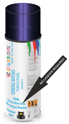 paint for General Motors Corp General Motors Passenger Car