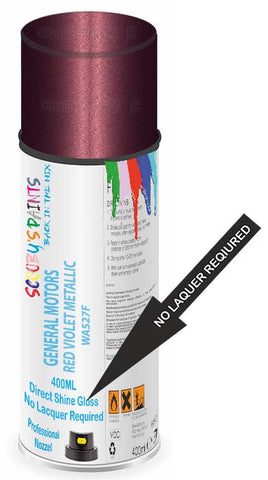 paint for General Motors Corp General Motors Passenger Car