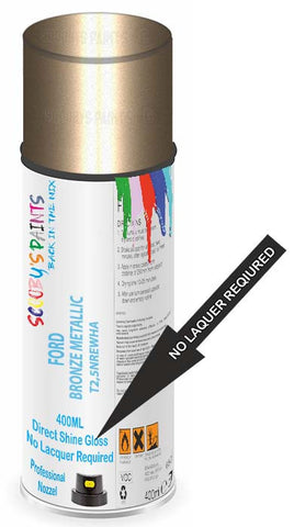 paint for Ford Thunderbird