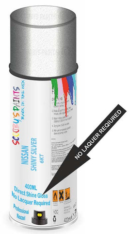 paint for NISSAN TEANA