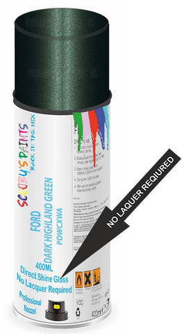 paint for FORD MARK
