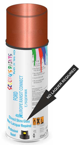 paint for Ford Transit Connect